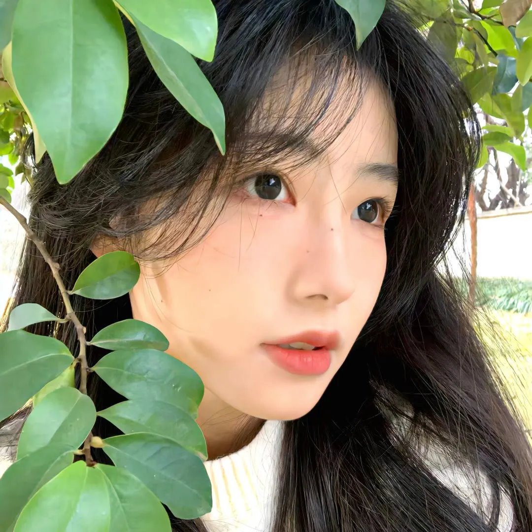 天线宝宝